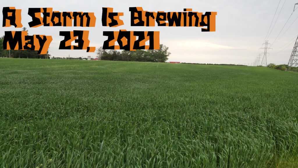 A Storm Is A Brewin’ (May 23, 2021)